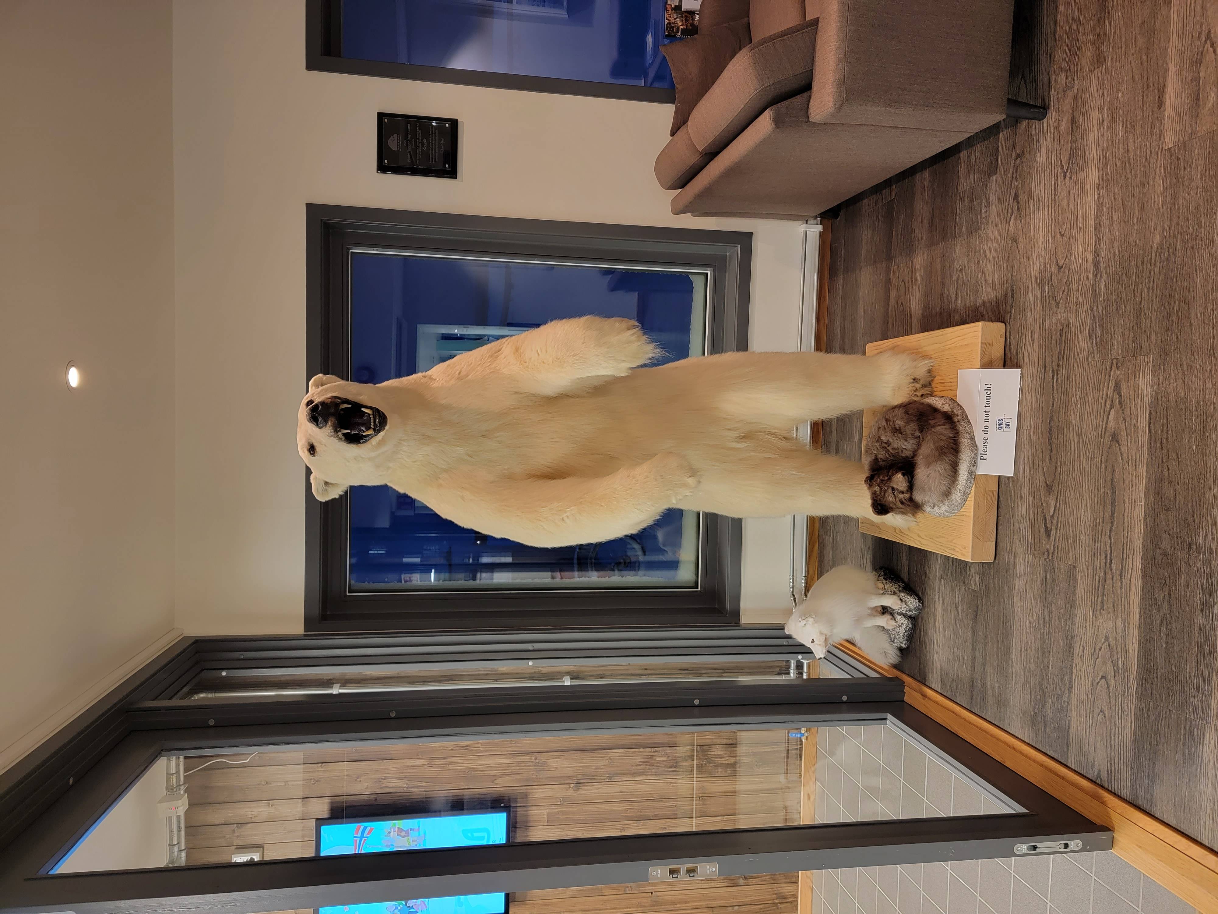 🏛️ 쓰야마 자연 신비관(쓰야마 시젠노 후시기칸) 이미지 6